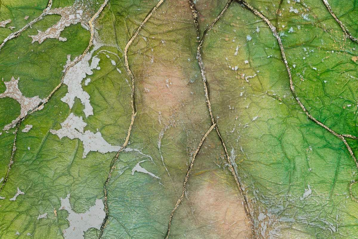 The Magical Meadow - Original by artist Kerry Darlington - Wyecliffe Galleries