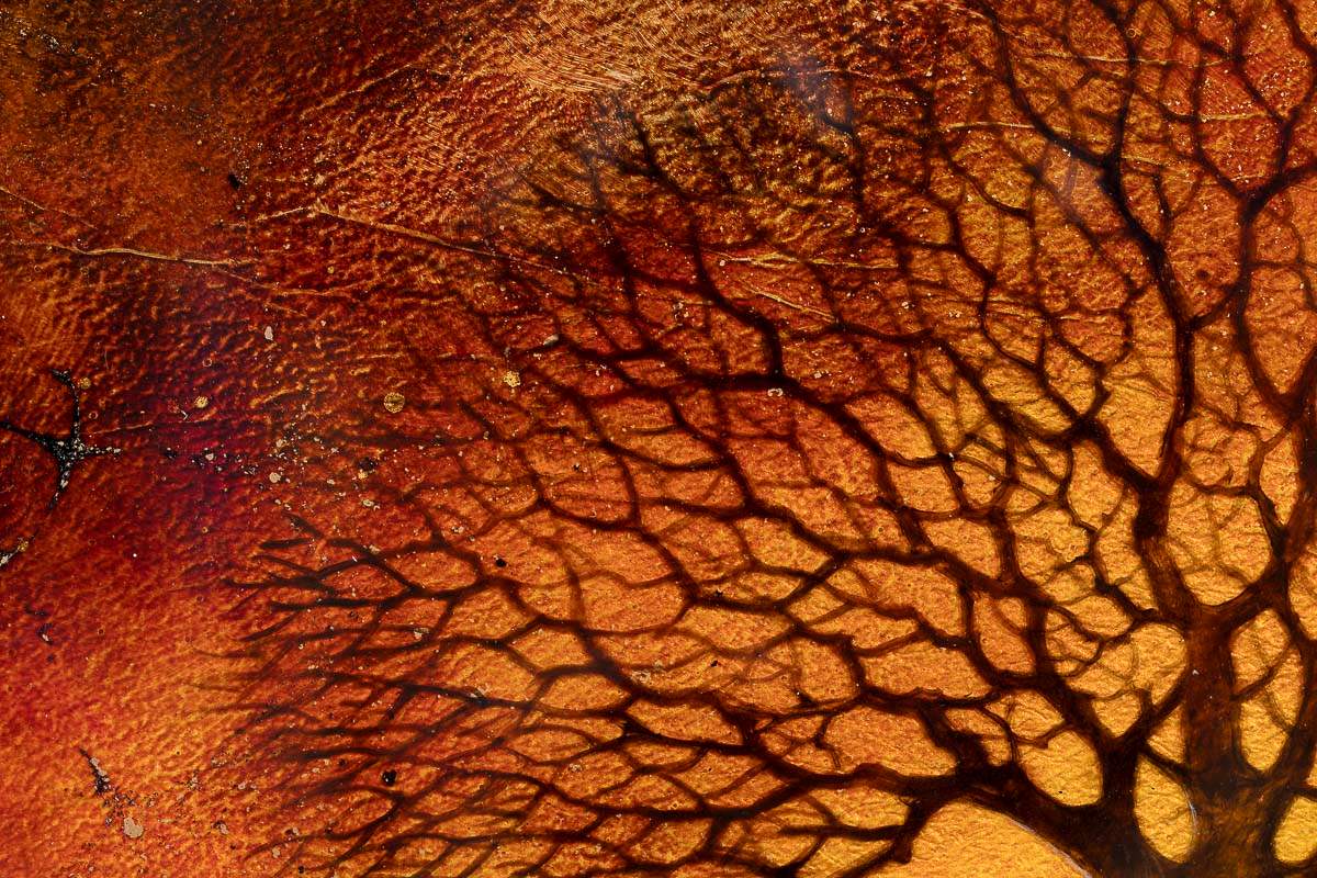 The Oak's Wisdom - Original by artist Kerry Darlington - Wyecliffe Galleries