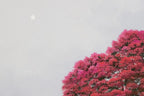 Where The Blossom Falls - Original - SOLD