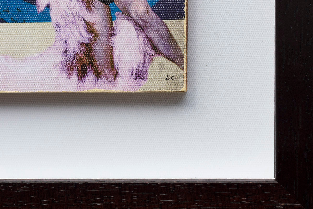 You Really Got Me - Songbook - Edition