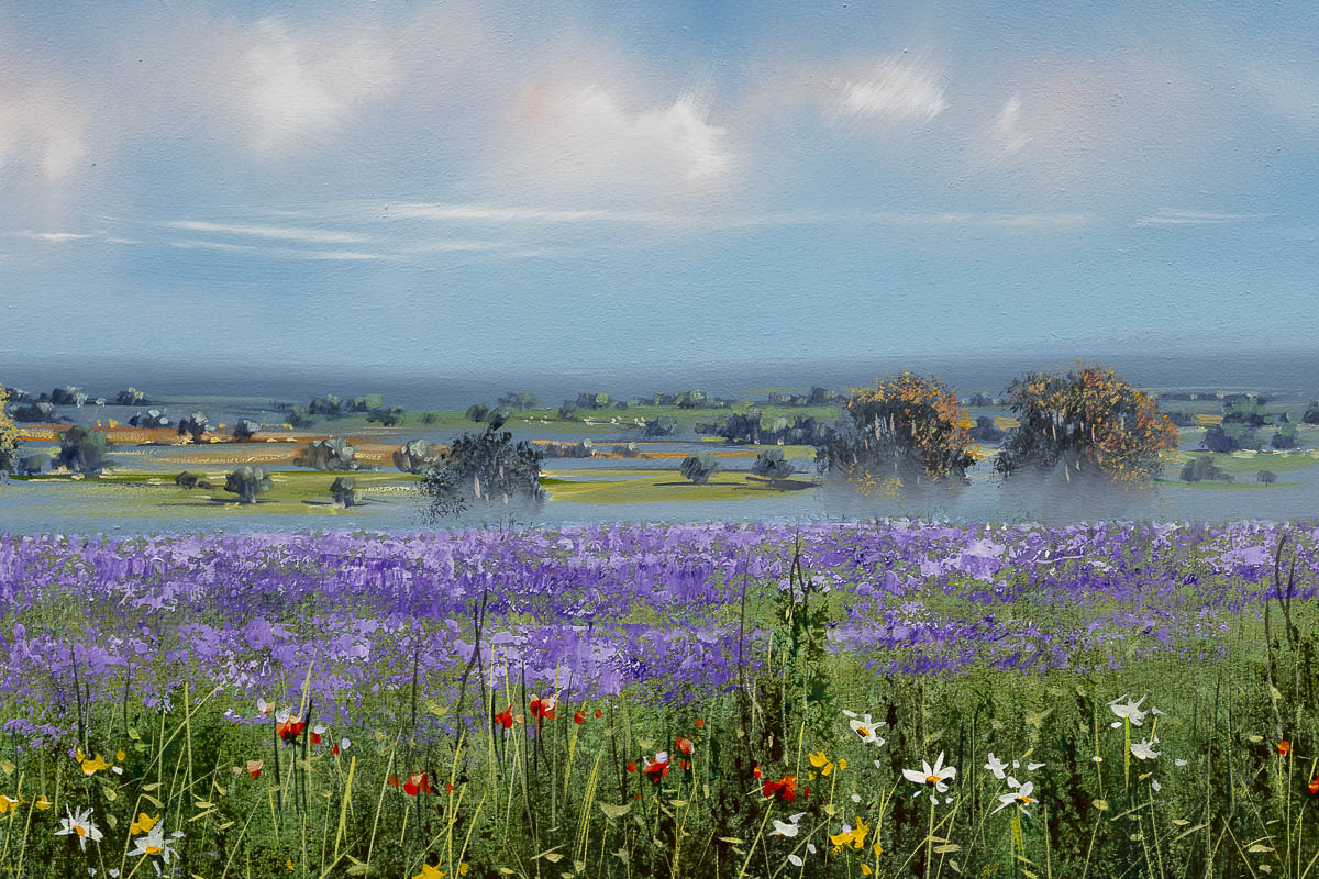 Fields in Full Bloom Allan Morgan Framed