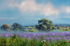 Fields in Full Bloom - Original - SOLD by artist Allan Morgan - Wyecliffe Galleries