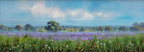 Fields in Full Bloom - Original - SOLD by artist Allan Morgan - Wyecliffe Galleries