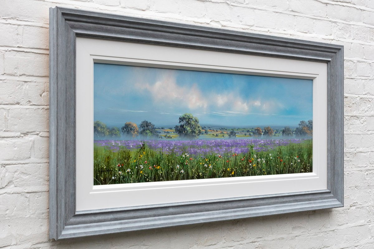 Fields in Full Bloom Allan Morgan Framed