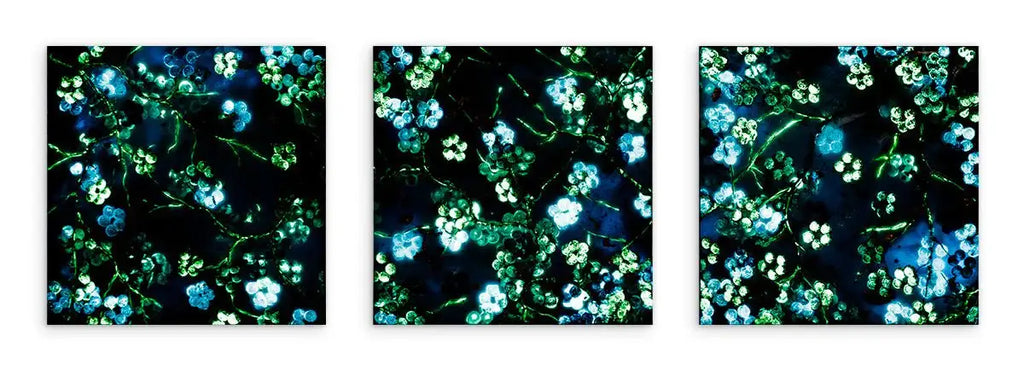 Blossoming Blues Triptych - Original - SOLD by artist Becky Smith - Wyecliffe Galleries