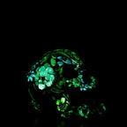 Brighten Your Mind - Original Sculpture - SOLD by artist Becky Smith - Wyecliffe Galleries