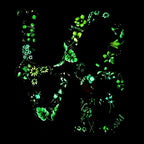 Let Love Glow - Original - SOLD by artist Becky Smith - Wyecliffe Galleries