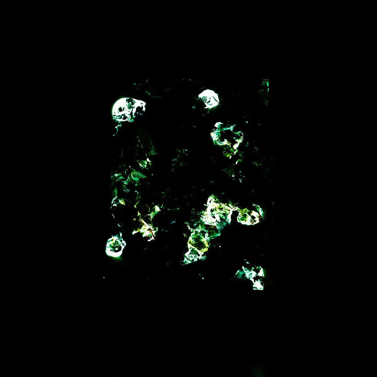 Life In Bloom - Original - SOLD by artist Becky Smith - Wyecliffe Galleries