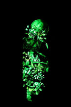 Life’s Better With A Smile – Original Skate Deck - SOLD by artist Becky Smith - Wyecliffe Galleries