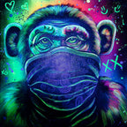 Monkey Hear No Evil, See No Evil, Speak No Evil Triptych - Original - SOLD by artist Becky Smith - Wyecliffe Galleries