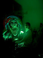 Monkey Madness - Original by artist Becky Smith - Wyecliffe Galleries