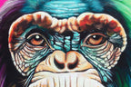 Monkey Madness Triptych - Artist Proof Matching SET by artist Becky Smith - Wyecliffe Galleries