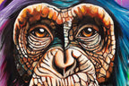 Monkey Madness Triptych - Deluxe Edition Matching SET by artist Becky Smith - Wyecliffe Galleries