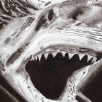 Apex - Original - SOLD by artist Ben Riley - Wyecliffe Galleries