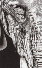 Eidetic - Original - SOLD by artist Ben Riley - Wyecliffe Galleries