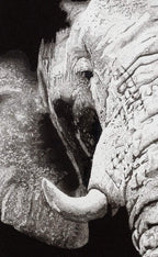 Warmth - Original - SOLD by artist Ben Riley - Wyecliffe Galleries