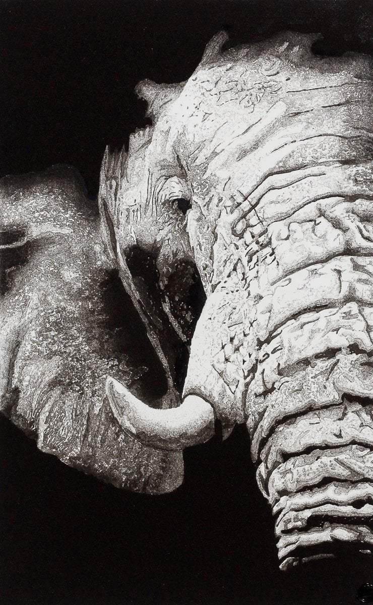 Warmth - Original - SOLD by artist Ben Riley - Wyecliffe Galleries