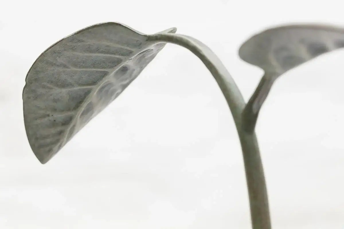 Amazon Goblin - Bronze Sculpture (Small) - Edition by artist David Goode - Wyecliffe Galleries