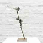 Amazon Goblin - Bronze Sculpture (Small) - Edition by artist David Goode - Wyecliffe Galleries
