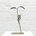 Amazon Goblin - Bronze Sculpture (Small) - Edition by artist David Goode - Wyecliffe Galleries