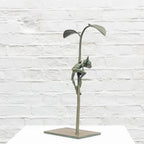 Amazon Goblin - Bronze Sculpture (Small) - Edition by artist David Goode - Wyecliffe Galleries