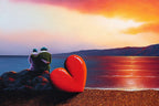 All We Need Is Love And Sunsets - Original - SOLD by artist David Renshaw - Wyecliffe Galleries