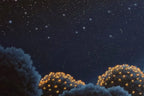 Beneath The Evening Sky - Original - SOLD by artist David Renshaw - Wyecliffe Galleries