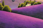 High On Our Love - Original - SOLD by artist David Renshaw - Wyecliffe Galleries