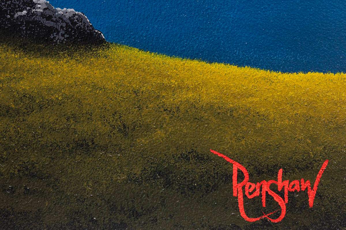 Jewels In The Night - Original - SOLD by artist David Renshaw - Wyecliffe Galleries