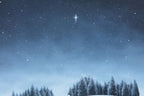 Our Family Star - Original - SOLD by artist David Renshaw - Wyecliffe Galleries
