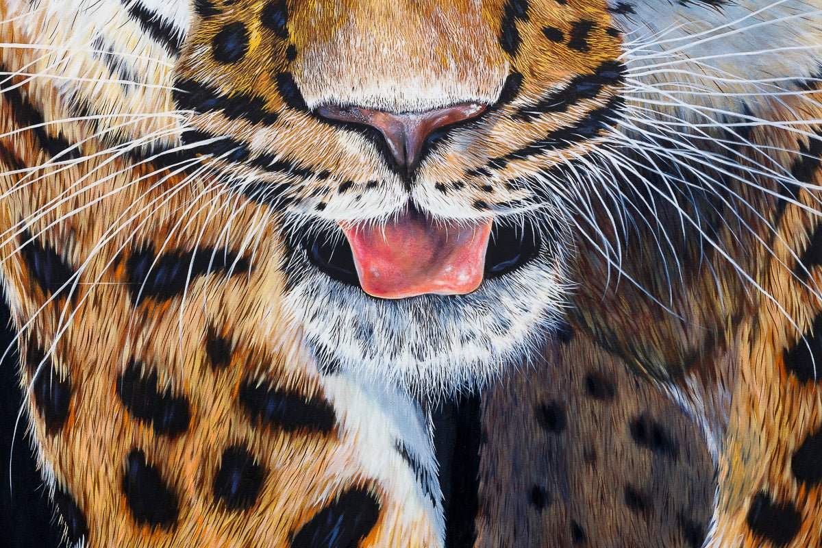 Loki - Original by artist Faye Nasser-Joley - Wyecliffe Galleries