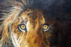 Pride - Original - SOLD by artist Faye Nasser-Joley - Wyecliffe Galleries