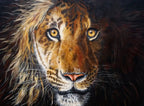 Pride - Original - SOLD by artist Faye Nasser-Joley - Wyecliffe Galleries