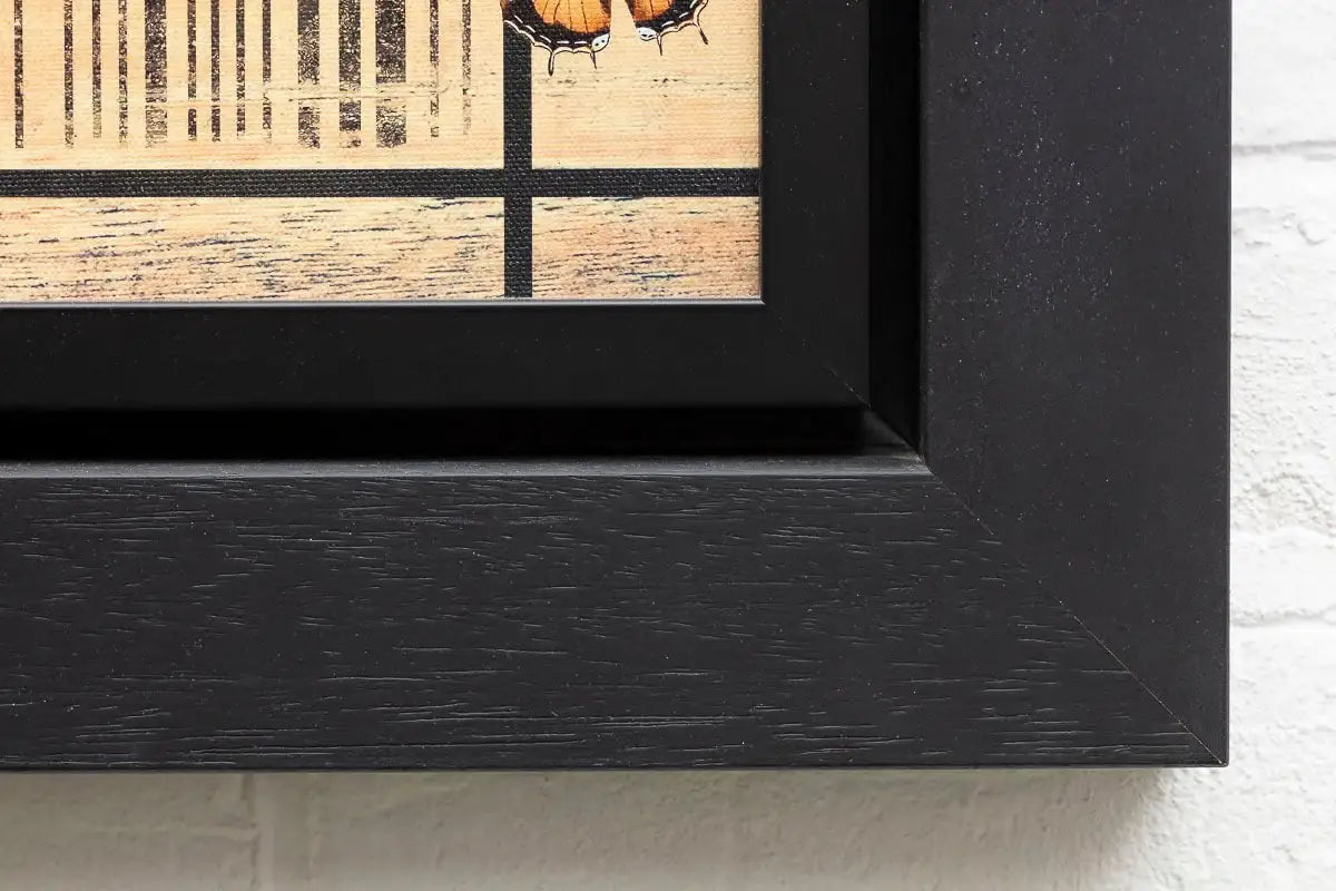 Cola - Edition (Portrait) - SOLD by artist Gareth Tristan Evans - Wyecliffe Galleries