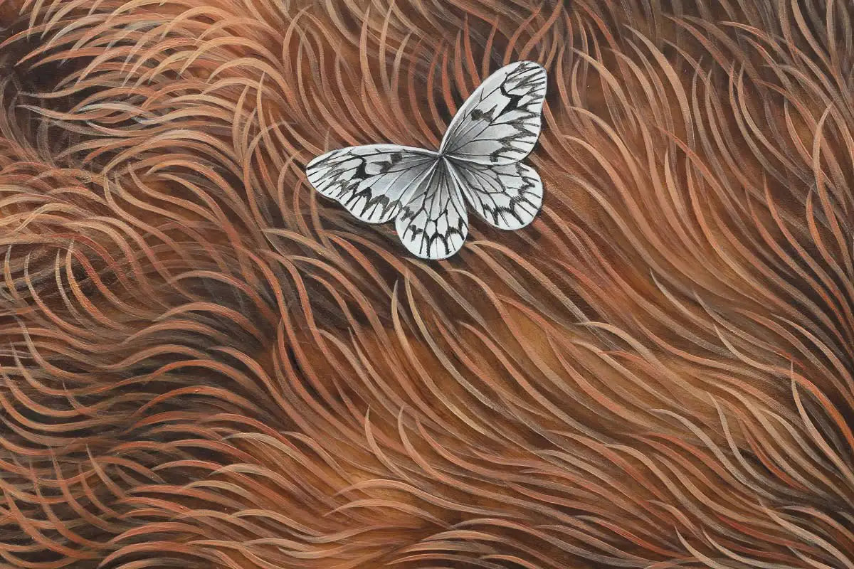 Hibernation - Original by artist Kerry Darlington - Wyecliffe Galleries