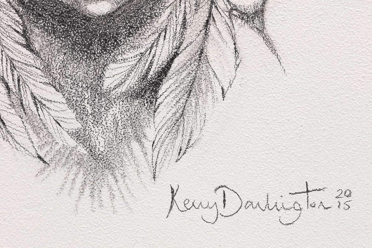 Little Warrior (Peter Pan) Sketch - Original by artist Kerry Darlington - Wyecliffe Galleries