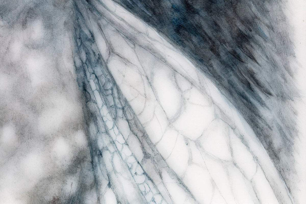 The Badger Faerie - Original - SOLD by artist Kerry Darlington - Wyecliffe Galleries