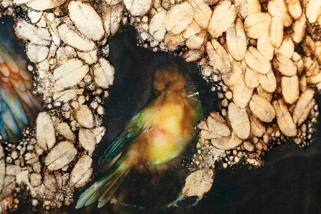 The Dryad's Crown - GOLD Edition Kerry Darlington