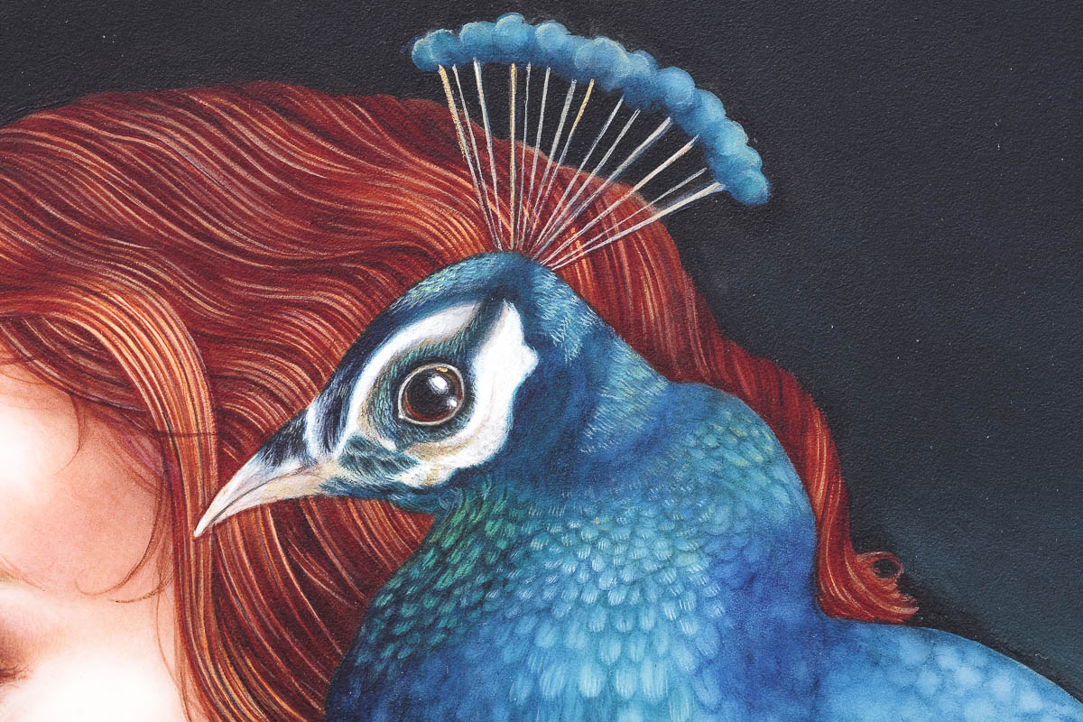 The Peacock Princess Kerry Darlington Framed