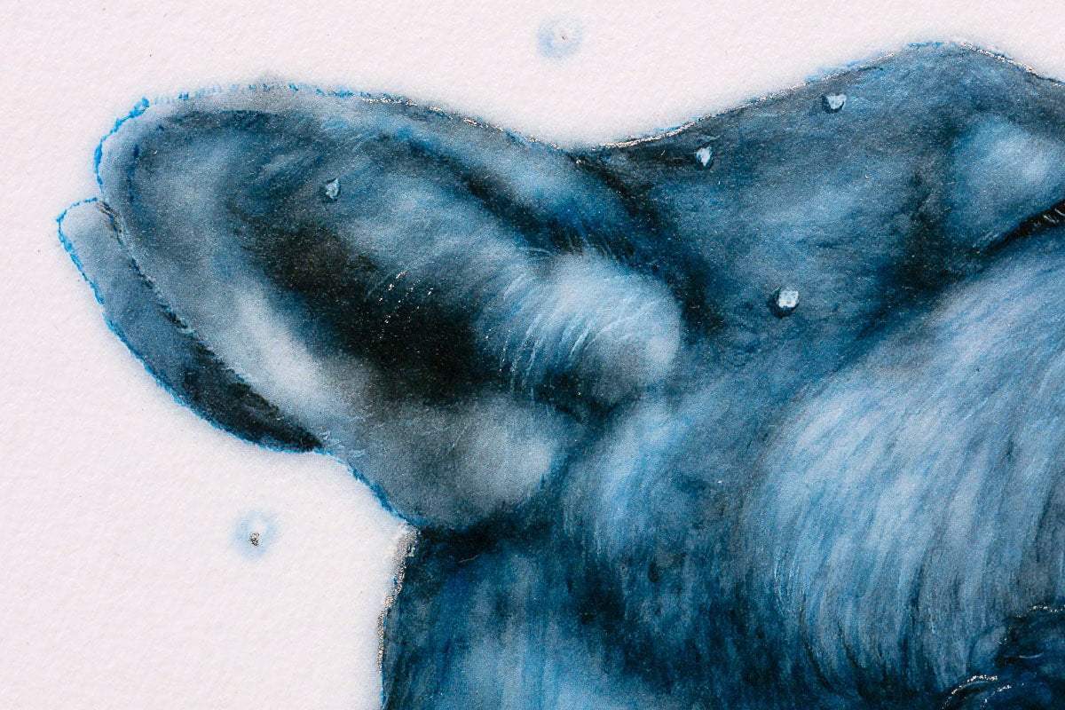The Snow Faerie & The Badger Faerie - Edition - Matching SET by artist Kerry Darlington - Wyecliffe Galleries