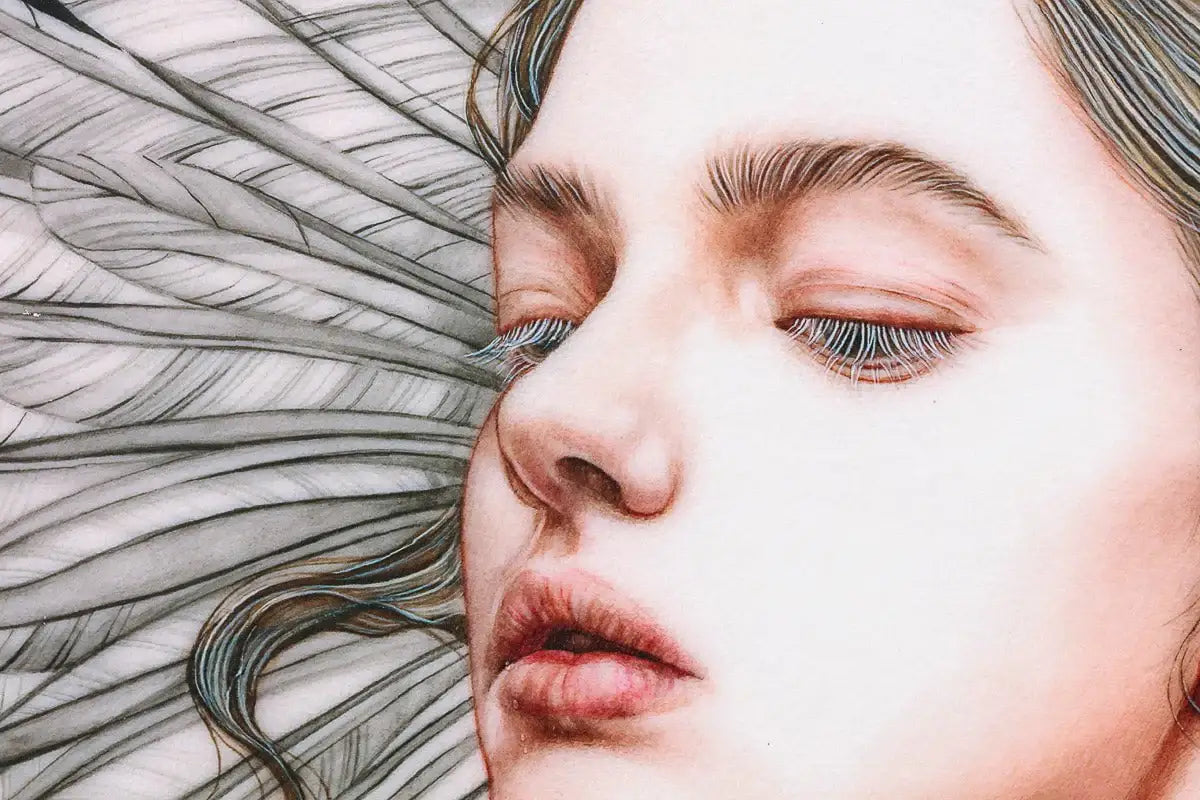 The Wild Swans - Edition by artist Kerry Darlington - Wyecliffe Galleries