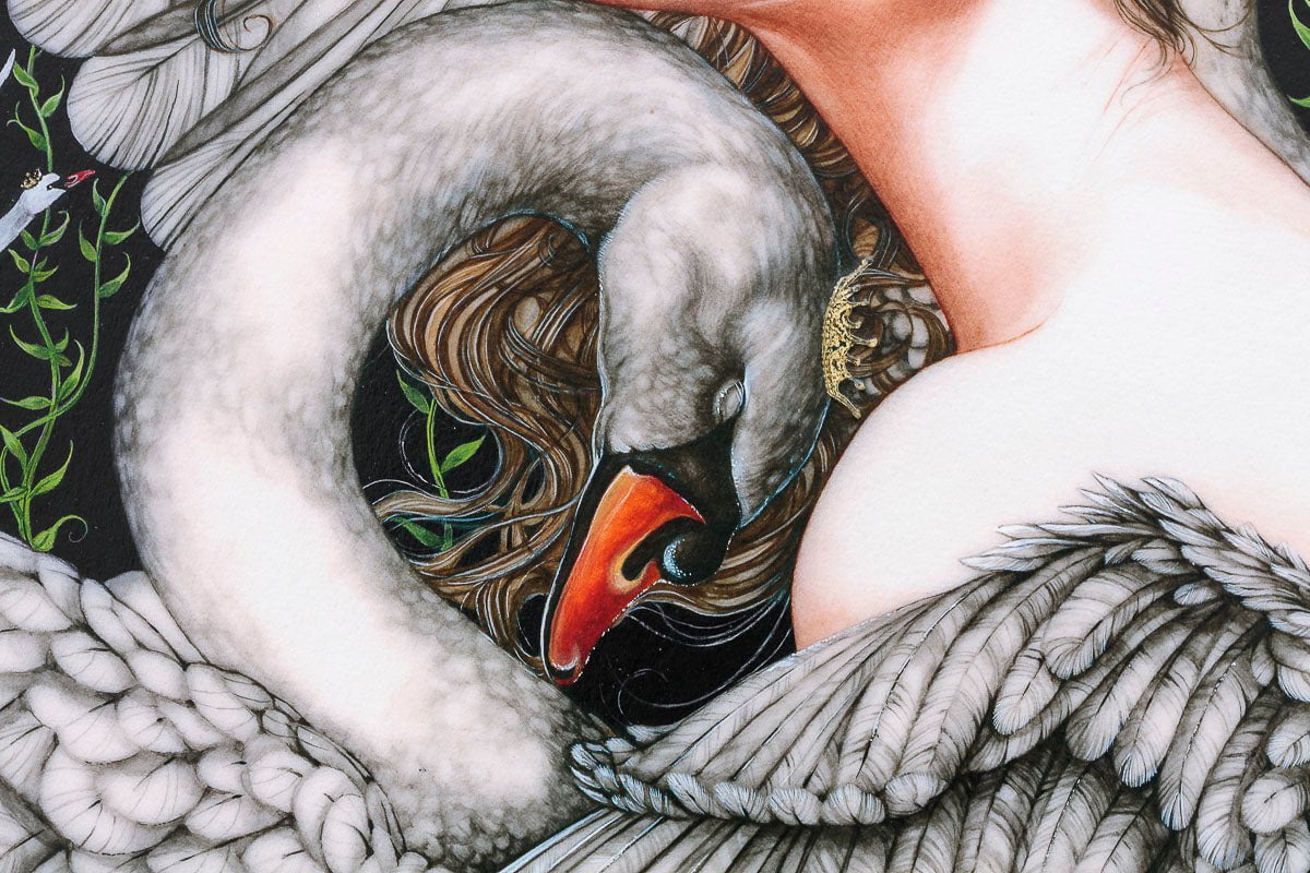 The Wild Swans - Edition Kerry Darlington