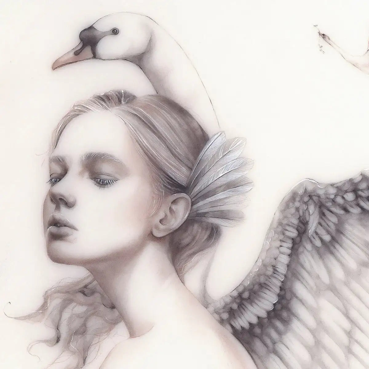 Wild Swans - Original Study - SOLD by artist Kerry Darlington - Wyecliffe Galleries