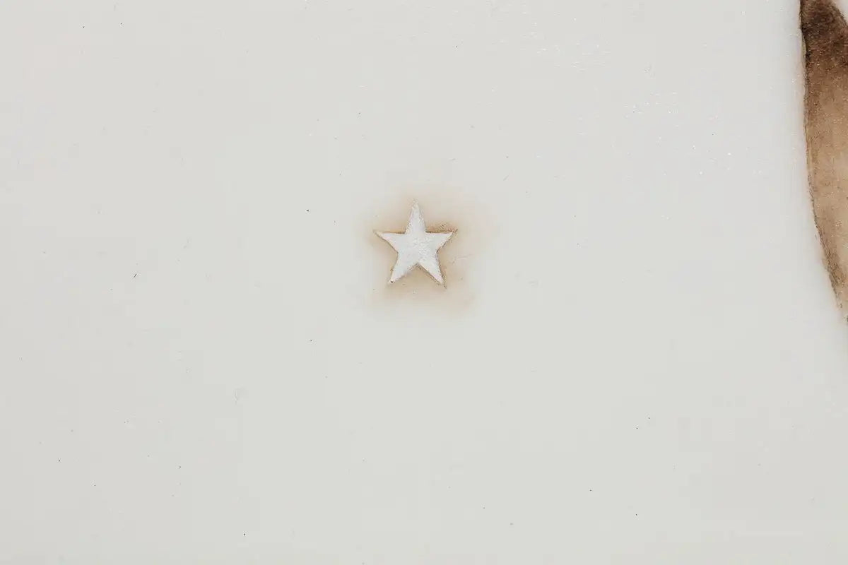 Wishing On A Star - Original - SOLD by artist Kerry Darlington - Wyecliffe Galleries