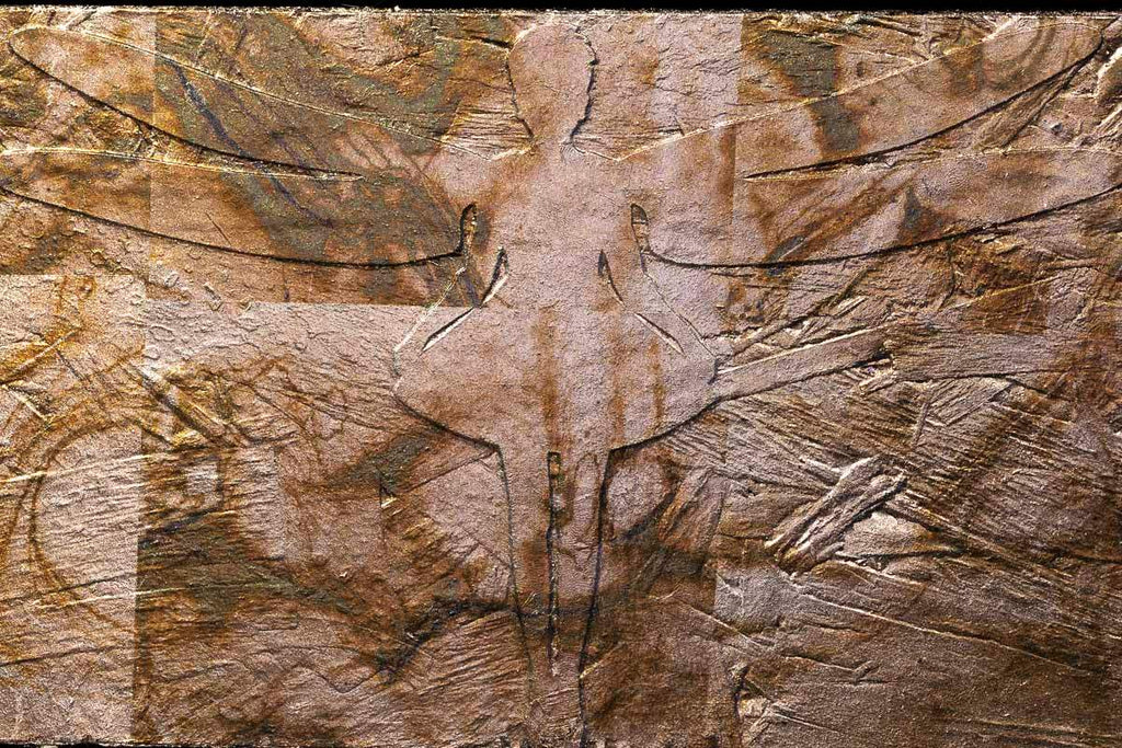 Swarm - Deluxe XL Edition 9 by artist Lhouette - Wyecliffe Galleries