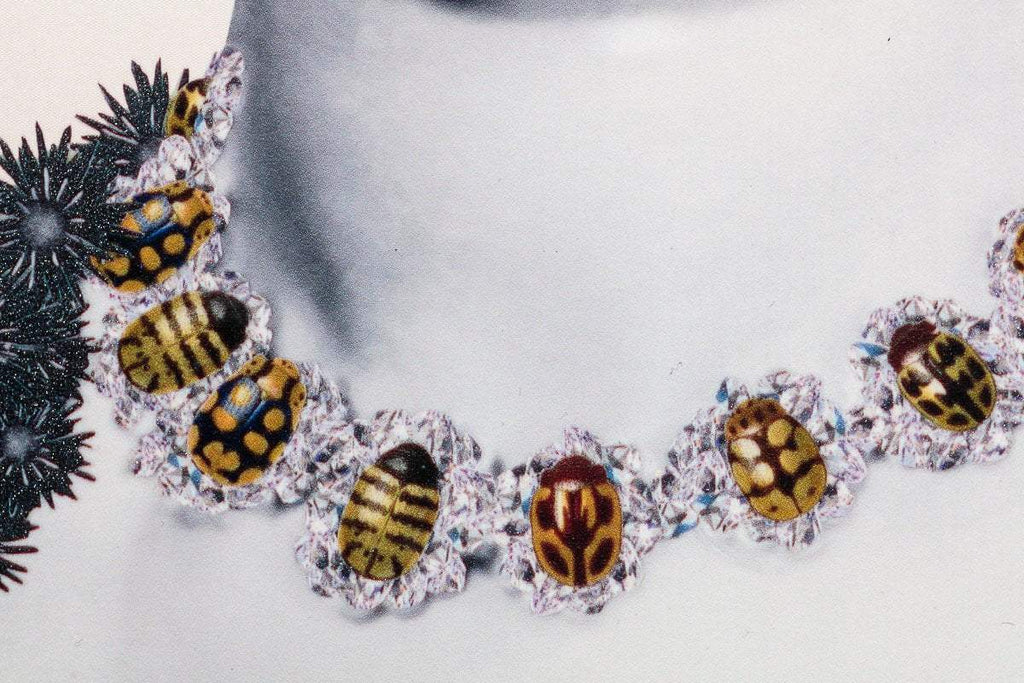 Stella - Deluxe Edition - SOLD by artist Maria Rivans - Wyecliffe Galleries