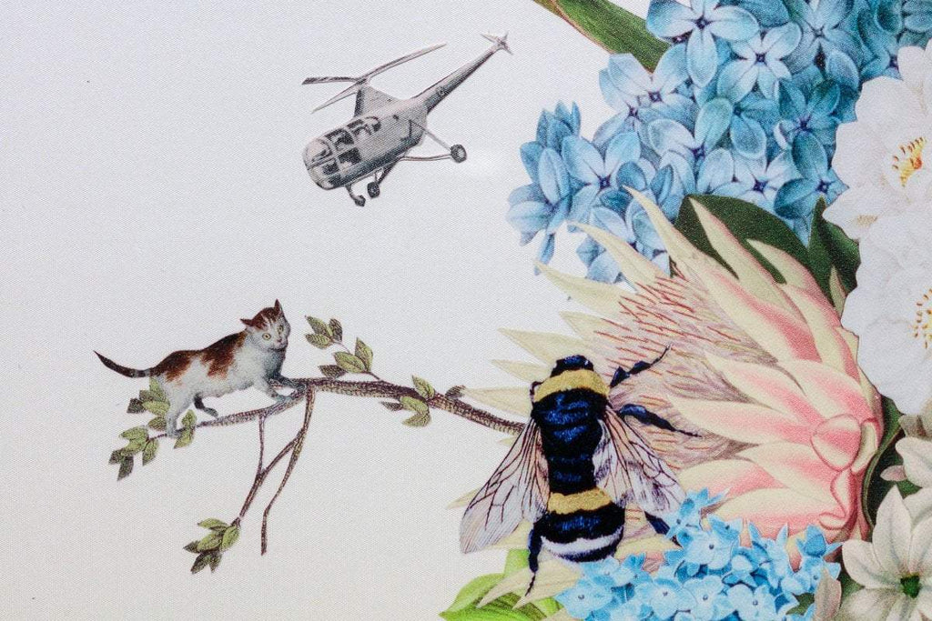 Stella - Deluxe Edition - SOLD by artist Maria Rivans - Wyecliffe Galleries