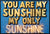 You Are My Sunshine - Original Mark Illuminati Original