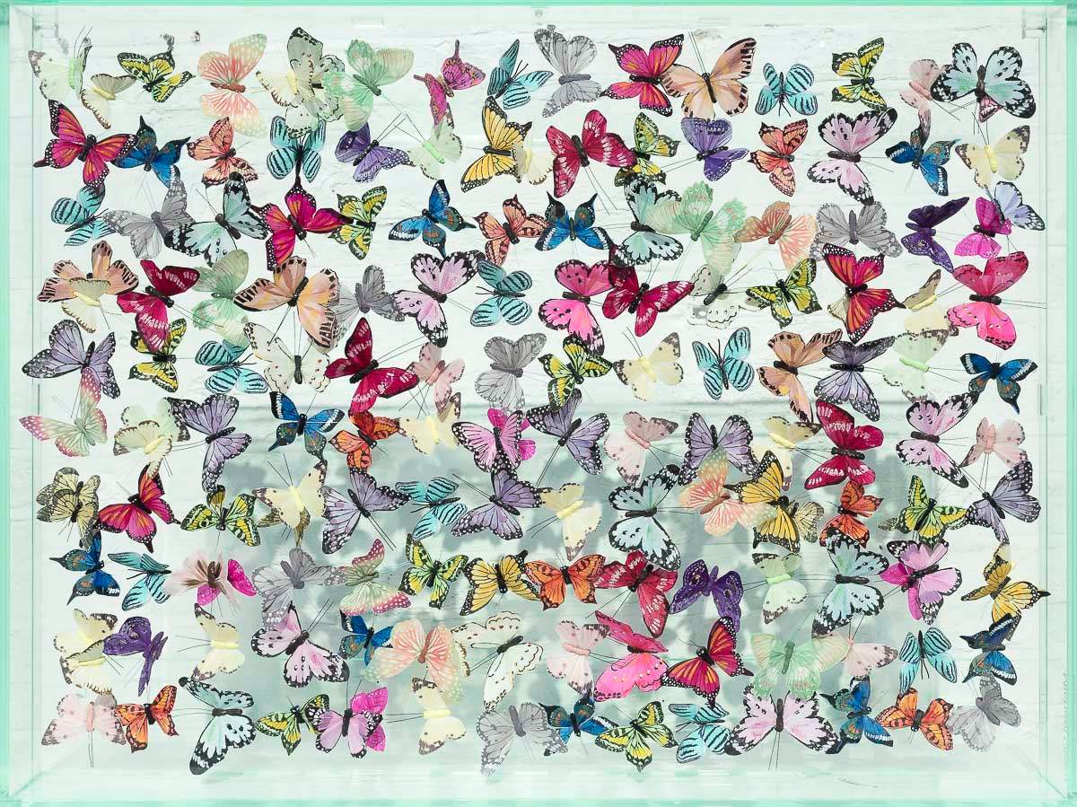 Glassy Eyed - Original - SOLD by artist Michael Olsen - Wyecliffe Galleries