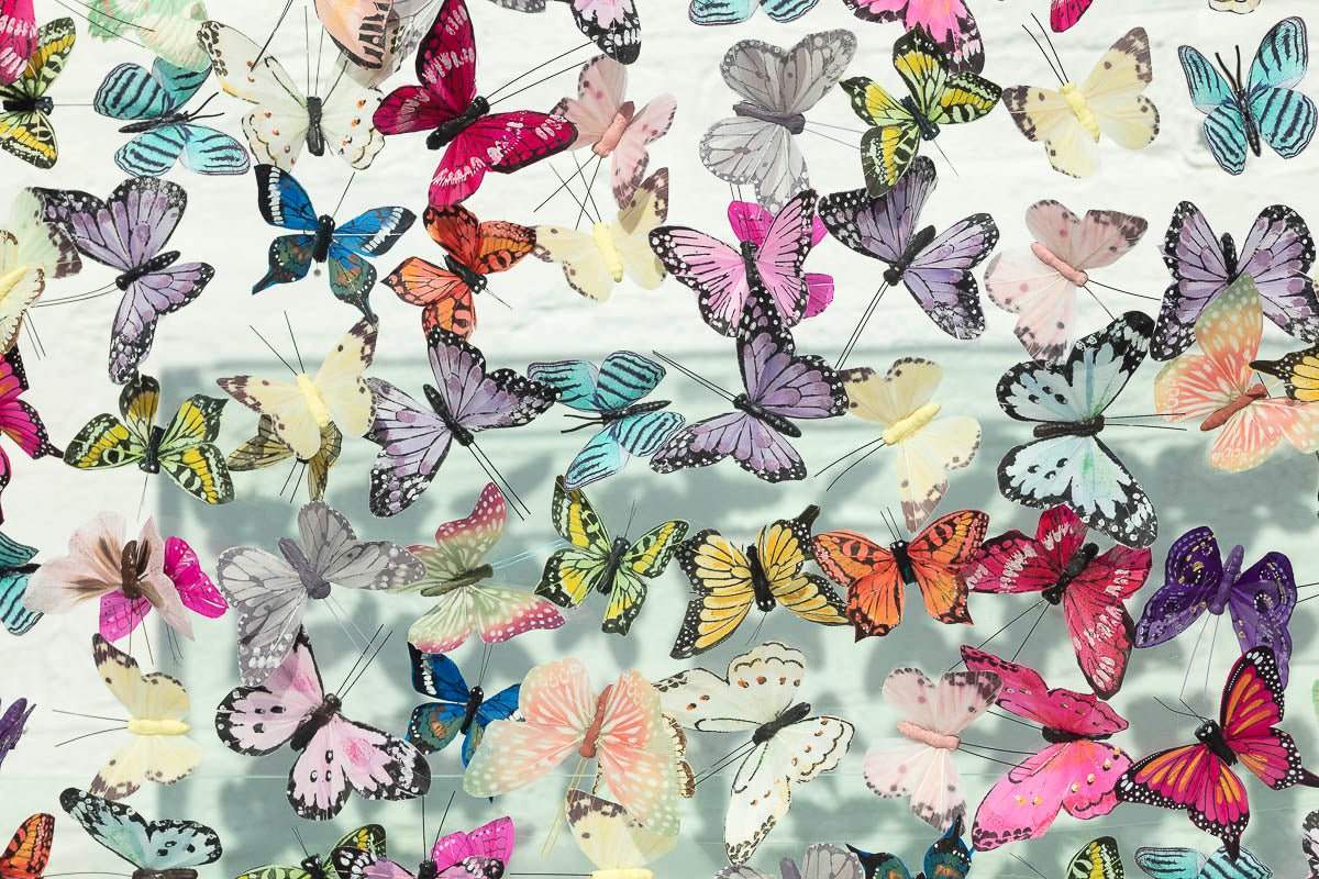 Glassy Eyed - Original - SOLD by artist Michael Olsen - Wyecliffe Galleries